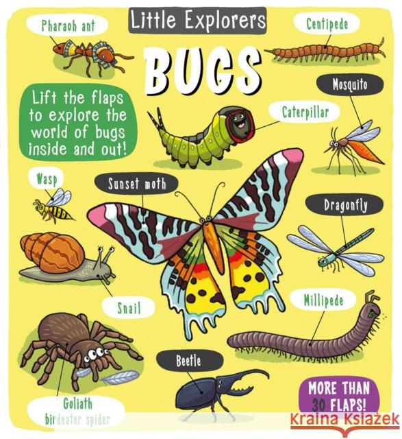 Little Explorers: Bugs Little Bee Books 9781499808872 little bee books