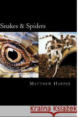 Snakes & Spiders: Two Fascinating Books Combined Containing Facts, Trivia, Images & Memory Recall Quiz: Suitable for Adults & Children Matthew Harper 9781500114763 Createspace