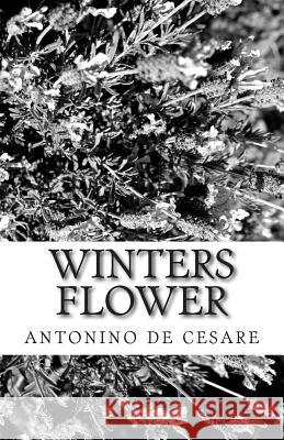 Winters flower Antonino D 9781500138226 Createspace Independent Publishing Platform