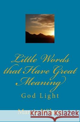 Little Words that Have Great Meaning: God Light Marcia Wilson 9781500138615 Createspace Independent Publishing Platform