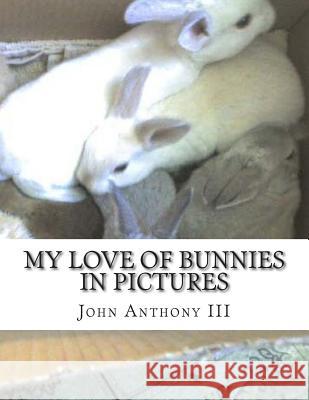 My Love of Bunnies: in pictures Synergy Llp, Creative 9781500149185 Createspace