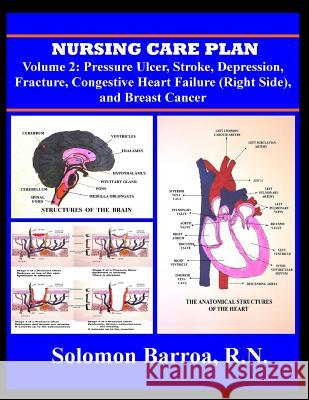 Nursing Care Plan Solomon Barro 9781500193089 Createspace