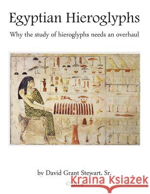 Egyptian Hieroglyphs: Why the study of Egyptian hieroglyphs needs an overhaul Stewart Sr, David Grant 9781500202170