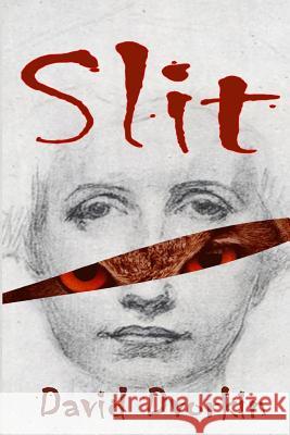 Slit David Dvorkin 9781500213084 Createspace