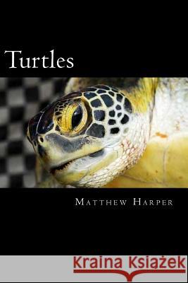 Turtles: A Fascinating Book Containing Turtle Facts, Trivia, Images & Memory Recall Quiz: Suitable for Adults & Children Matthew Harper 9781500257170 Createspace