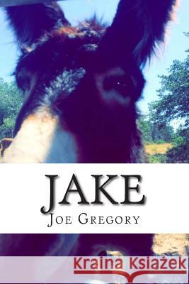 Jake Joe Gregory 9781500277390 Createspace Independent Publishing Platform