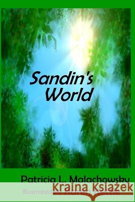 Sandin's World Patricia L. Malachowsky Karen Kettle 9781500351670 Createspace Independent Publishing Platform