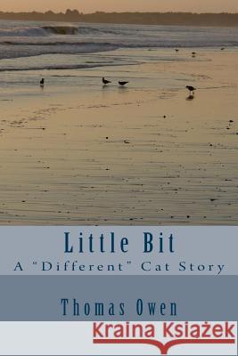 Little Bit: A 
