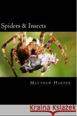 Spiders & Insects: Two Fascinating Books Combined Together Containing Facts, Trivia, Images & Memory Recall Quiz: Suitable for Adults & C Matthew Harper 9781500495190 Createspace