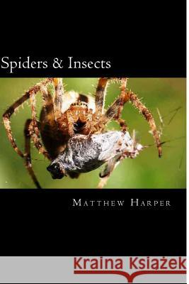 Spiders & Insects: Two Fascinating Books Combined Together Containing Facts, Trivia, Images & Memory Recall Quiz: Suitable for Adults & C Matthew Harper 9781500495893 Createspace