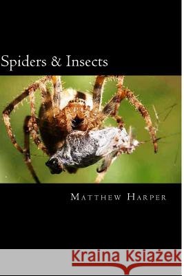 Spiders & Insects: Two Fascinating Books Combined Together Containing Facts, Trivia, Images & Memory Recall Quiz: Suitable for Adults & C Matthew Harper 9781500495893