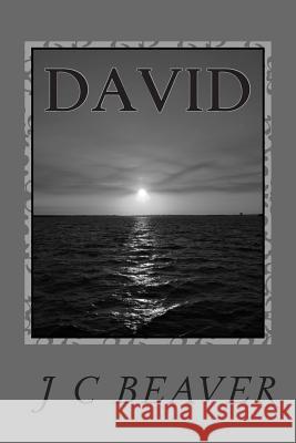 David: Journey Continues J. C. Beaver 9781500495985 Createspace