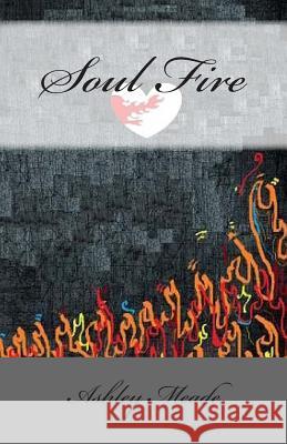 Soul Fire Ashley Meade 9781500507534 Createspace