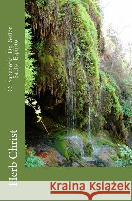 O Sabedoría De Señor Santo Espírito Langeveldt, Herb 9781500572129 Createspace Independent Publishing Platform