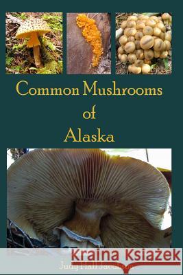 Common Mushrooms of Alaska Judy Hall Jacobson 9781500604677 Createspace