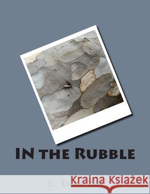 IN the Rubble Robb, J. Edward 9781500639761 Createspace
