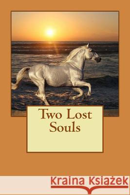 Two Lost Souls Anthony Hosea 9781500684877 Createspace