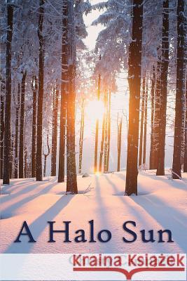 A Halo Sun Christy Campbell 9781500700836