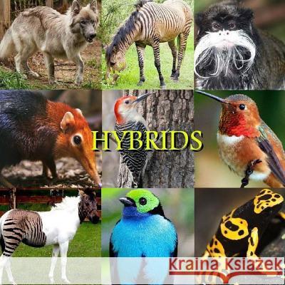 Hybrids Naira R. Matevosyan 9781500701000 Createspace