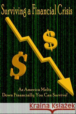 Surviving A Financial Crisis: As America Melts Down Financially You Can Survive! Jay, Harry 9781500753047
