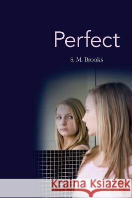 Perfect S. M. Brooks 9781500823030 Createspace Independent Publishing Platform