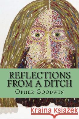 Reflections from a ditch Goodwin, Opher 9781500836498