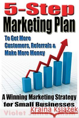 5 Step Marketing Plan: A Sales and Marketing Strategy for Small Business Violet James 9781500929893 Createspace