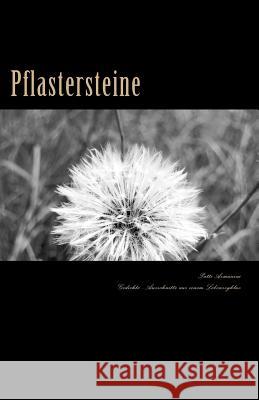 Pflastersteine: Gedichte - Ausschnitte aus einem Lebenszyklus Armanini, Patti 9781500931810 Createspace