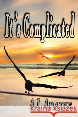 It's Complicated Aj Adaire 9781501031793 Createspace