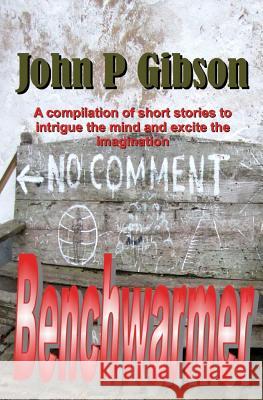 Benchwarmer John P. Gibson 9781501038822 Createspace