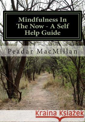 Mindfulness In The Now - A Self Help Guide MacMillan Mr, Peadar Patrick 9781501079849