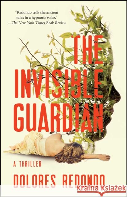 The Invisible Guardian: A Thriller Dolores Redondo 9781501102141