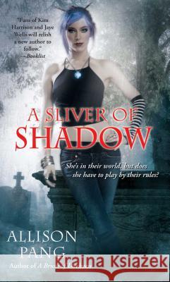 A Sliver of Shadow Allison Pang 9781501107054