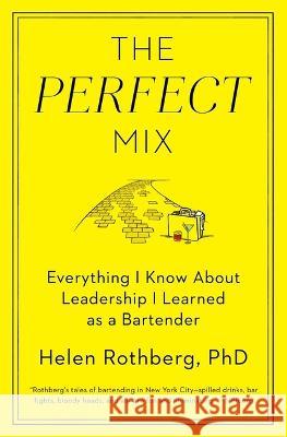 The Perfect Mix Helen Rothber 9781501127830 Atria Books