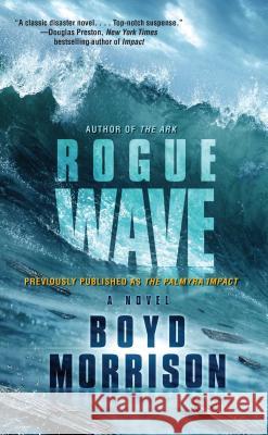 Rogue Wave Boyd Morrison 9781501128639 Gallery Books