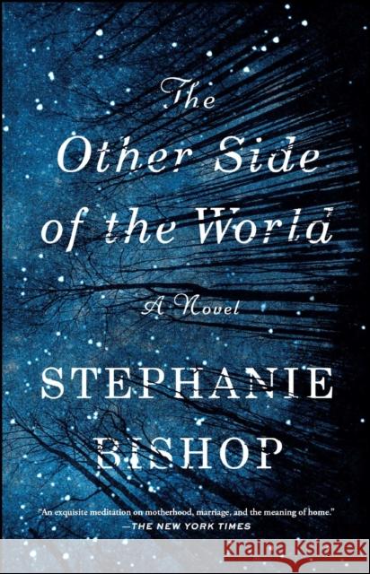 The Other Side of the World Stephanie Bishop 9781501133138 Washington Square Press