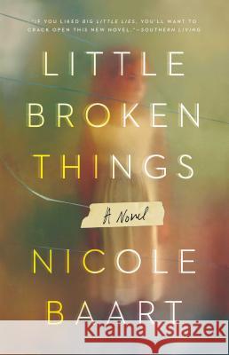 Little Broken Things Nicole Baart 9781501133602 Atria Books