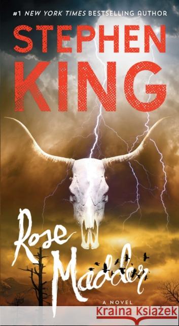 Rose Madder Stephen King 9781501143687