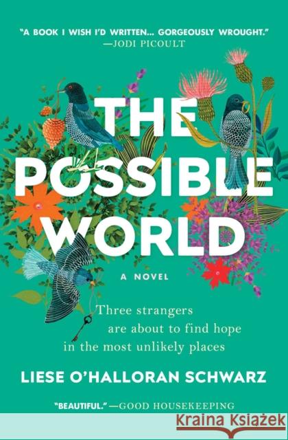 The Possible World Liese O. Schwarz 9781501166150