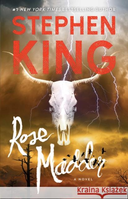 Rose Madder Stephen King 9781501192302