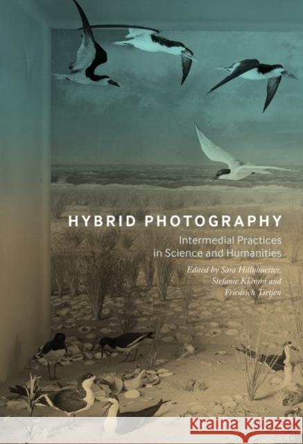 Hybrid Photography: Intermedial Practices in Science and Humanities Hillnhuetter, Sara 9781501341656 Bloomsbury Visual Arts