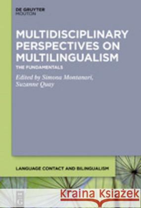 Multidisciplinary Perspectives on Multilingualism: The Fundamentals Montanari, Simona 9781501516504 Walter de Gruyter