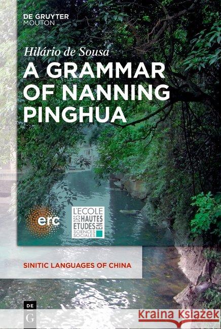 A Grammar of Nanning Pinghua Hilario de Sousa 9781501517365 Walter de Gruyter