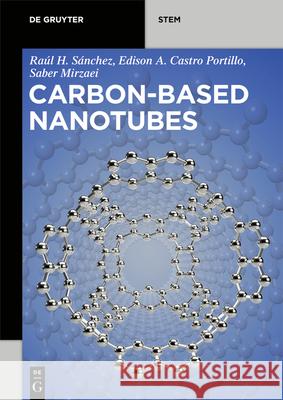 Carbon-Based Nanotubes Hern Edison Arley Castr Saber Mirzaei 9781501519314 de Gruyter