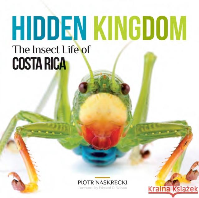 Hidden Kingdom: The Insect Life of Costa Rica Piotr Naskrecki E. O. Wilson 9781501704710