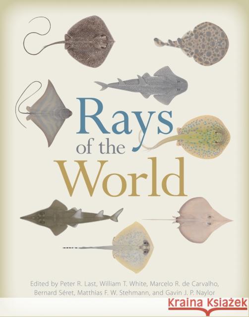 Rays of the World Gavin J. P. Naylor Marcelo R. D Peter R. Last 9781501705328 Comstock Publishing