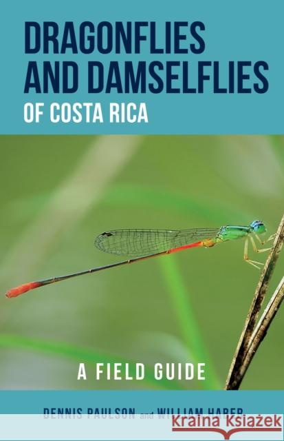 Dragonflies and Damselflies of Costa Rica: A Field Guide Dennis Paulson Dennis R. Paulson William A. Haber 9781501713163 Comstock Publishing