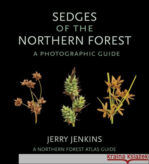 Sedges of the Northern Forest: A Photographic Guide Jerry Jenkins 9781501727085 Comstock Publishing