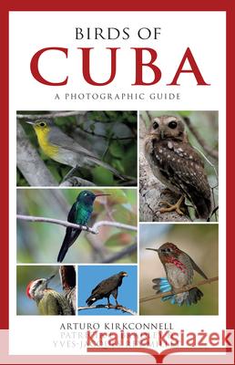 Birds of Cuba: A Photographic Guide - audiobook Kirkconnell, Arturo 9781501751561 Cornell University Press
