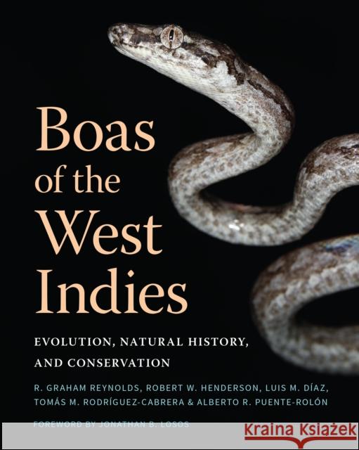 Boas of the West Indies: Evolution, Natural History, and Conservation R. Graham Reynolds Robert W. Henderson Luis Manuel D 9781501765452 Comstock Publishing